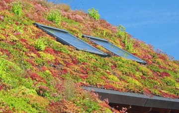 Knockbreck living roof systems